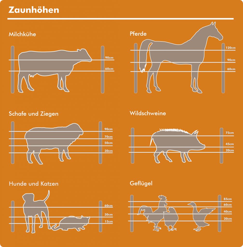 Zaunhohen